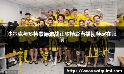 沙尔克与多特蒙德激战正酣精彩直播视频尽在眼前